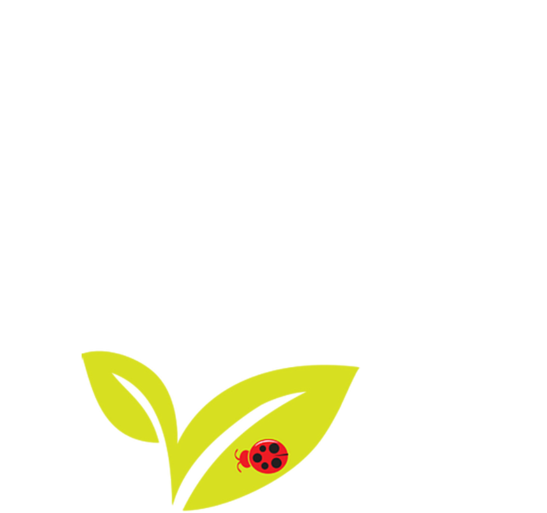 Over 30 years bringing you the FRESHEST ladybugs direct from the source